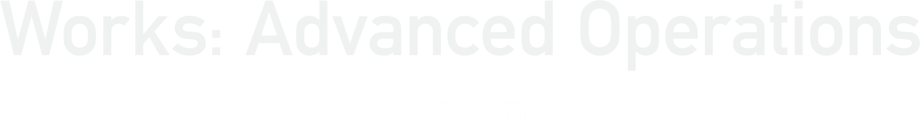 Works: Advanced Operations　私たちの仕事 2：高度な運営